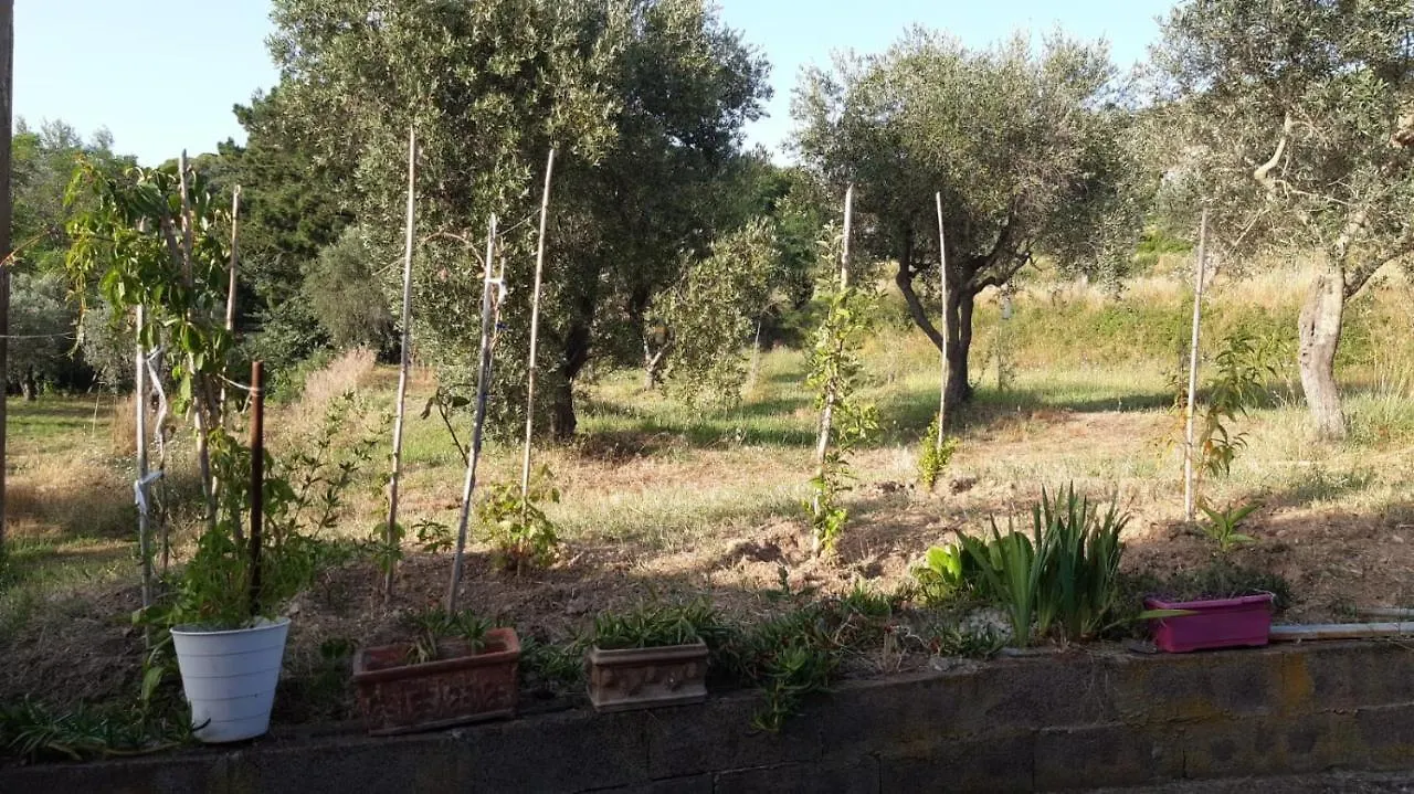Appartamento A Campiglia Marittima Apartment